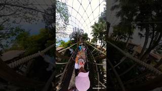 Disney World Swiss Family Treehouse From 1960’s Swiss Family Robinson Movie ​⁠youtubecreators [upl. by Liddie676]