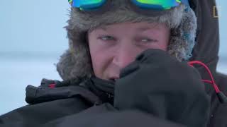 Male Polar Bear Fight Club  Ep 2  Wildlife The Big Freeze [upl. by Kronfeld]