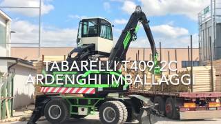 Caricatore Tabarelli T4092C Timber handling [upl. by Aenet]