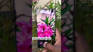 Samsung note 20 Ultra camera test 📸s24ultra note20ultra5g samsung trending shorts [upl. by Sola]