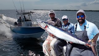 Biggest Pelagic Ever Caught on this Boat Catch amp Cook [upl. by Blane248]