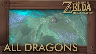 Zelda Breath of the Wild  All Dragon Locations amp Shrine Quests [upl. by Azne]