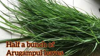 ArugampulBermuda Grass Juice Recipe [upl. by Esila]