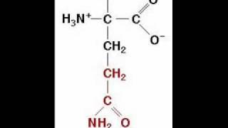 The Amino Acid Song original song [upl. by Akcinehs]