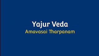 Yajur Veda Amavasya Tharpanam 21032023 [upl. by Ardnauq]