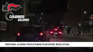 TRENTINARA ALGERINO TENTA DI RUBARE IN ABITAZIONE MESSO IN FUGA [upl. by Hildegarde868]