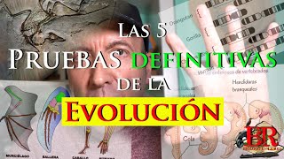 Las 5 pruebas definitivas de la evolución de las especies [upl. by Lucey]