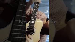 Mr Forgettable  David Kushner cover by alina cover ukulelecover music guitar guitarcover [upl. by Frymire]