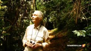 Jane Goodall Live [upl. by Caraviello648]