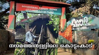 NAGARAVANAM  EP11 Wayanad Tourist Place Malayalam travel vlog  trave guide Kerala tourism [upl. by Alley240]