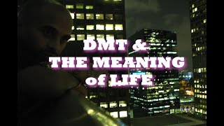 DMT amp The Meaning of Life [upl. by Slrahc]