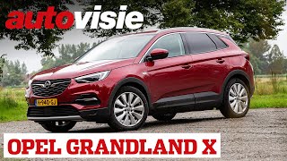 Afscheid stekkerkanon  Opel Grandland X Hybrid4 2020  Autovisie [upl. by Ccasi556]