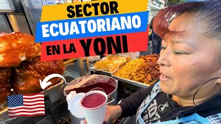 🇪🇨 El SECTOR ECUATORIANO en la calle larga de los LATINOS ❤️🇺🇸 Josué y Elie [upl. by Japeth]