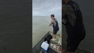 Smallest Boat At The Jetty 🚤 fishingadventures [upl. by Alikam]