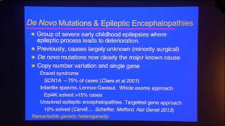 Berkovic SF 2013 Genetics of human epilepsy [upl. by Guillema]