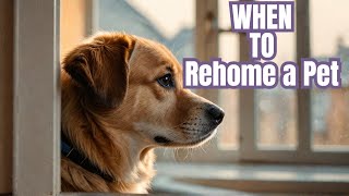 Pet Owners Dilemma Rehome or Not [upl. by Llerred]