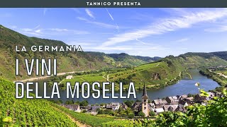 I vini della Mosella patria del Riesling  Tannico Flying School [upl. by Riplex100]