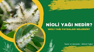 Nioli Yağı Nedir Nioli Yağı Faydaları Nelerdir  Doktorify [upl. by Daraj621]