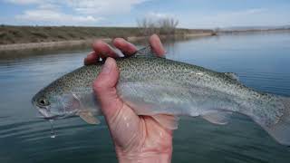 Kayak Fishing  Douglas Reservoir Fort Collins CO [upl. by Cherie]