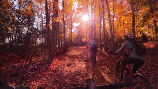 Quick view  Mountain biking Mono Cliffs \ The Autumn Colours shorts [upl. by Melmon]