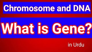 What is Gene  Gene and DNA in UrduHindi [upl. by Yenial30]