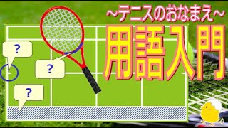 【テニス用語入門】いくつ分かる？テニスコート上のラインの名前、ラケットの各部分の名前をご紹介！【初心者】 [upl. by Nancee]