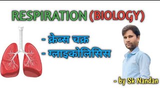 Respiration  biology  by Sk Nandan [upl. by Olegnaid405]