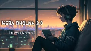 Mera Dholna 30   solved amp reverb night 💤🌉youtube lofimusic [upl. by Cichocki]