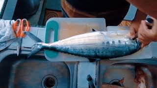 Filleting Queen Fish Catch Clean Cook [upl. by Ivo]