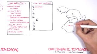 Cholinergic and Anticholinergic Toxicity Toxidrome [upl. by Jer]