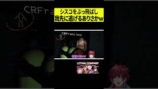 【恐怖】シスコを吹っ飛ばして逃げるありさかが面白すぎたｗｗｗ shorts [upl. by Aldin]