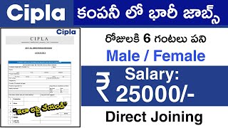 Cipla లో భారీ జాబ్స్  Cipla Recruitment for Freshers 2024  Private company job vacancy 2024 [upl. by Nylareg]