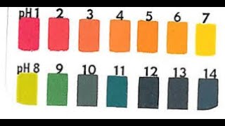 pH Test of stool Sample [upl. by Ferris]