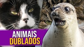 Animais Dublados Episódio 1 [upl. by Ethelda]