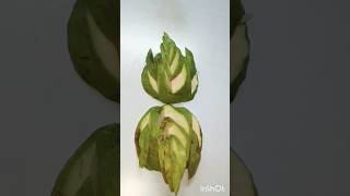 New fruit carving ideas shorts youtubeshorts viraltrending fruitcarving [upl. by Qerat350]