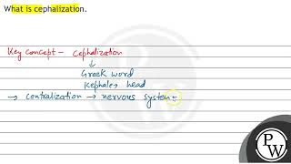 What is cephalization [upl. by Elwira]