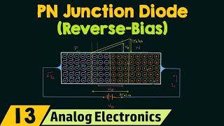 PN Junction Diode ReverseBias Condition [upl. by Lindie560]