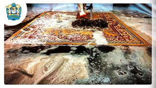 carpet cleaning videos  cleaning rugs satisfying compilation 01 [upl. by Gorlicki693]