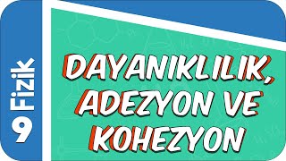 9 Sınıf Fizik Dayanıklılık Adezyon ve Kohezyon 2022 [upl. by Lehar889]