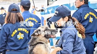 愛嬌いっぱいの警察犬｜山梨県警察 K9 ep1 [upl. by Rurik]