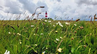 All Weather in One Afternoon Happisburgh Beach from Sunshine to Thunderstorm [upl. by Oiramrej]