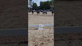 Brabantse Kampioenschappen Mini Fusion 🐴🐴🐴🐴 [upl. by Aerdua]