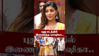 Shorts  புது படத்தில் இணைந்த யாஷிகா  yashika yashikaaannand cinema biggboss [upl. by Aniuqahs]