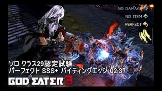 【GE3】ソロクラス29認定試験 パーフェクト SSS バイティングエッジ ホールドなし [upl. by Elocel634]