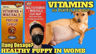 VITAMINS PARA SA BUNTIS NA ASO VITAMINS FOR PREGNANT DOGS [upl. by Johathan]