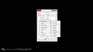 NinjaTrader 8  Time and Sales Window Overview [upl. by Emaj]