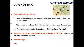 Cryptosporidium 2 [upl. by Eltsirc]