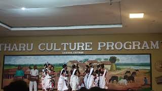 Tharu Culture Program Chitwan Nepal JourneyJoyTV [upl. by Yokoyama]