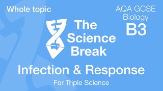 Whole of Unit 3  AQA GCSE Biology  Infection and Response [upl. by Alexis]