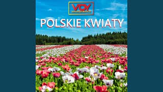 Polskie Kwiaty [upl. by Anileme]